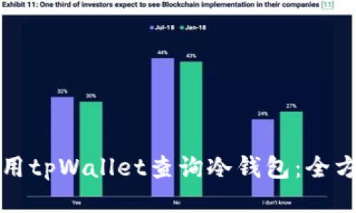 如何使用tpWallet查询冷钱包：全方位指南