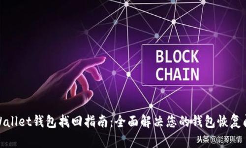 tpWallet钱包找回指南：全面解决您的钱包恢复问题