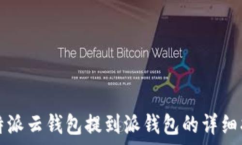   
比特派云钱包提到派钱包的详细指南