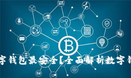 用什么数字钱包最安全？全面解析数字钱包安全性