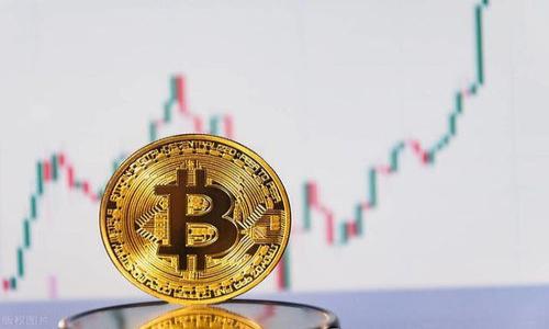 

探索中国数字钱包：哪些是最受欢迎的选择？