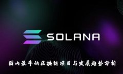 国内最牛的区块链项目与