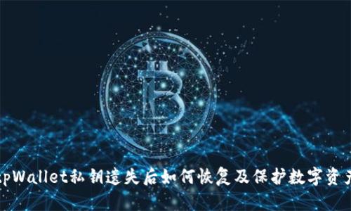 tpWallet私钥遗失后如何恢复及保护数字资产