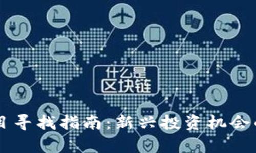 币圈新项目寻找指南：新兴投资机会的全面解析