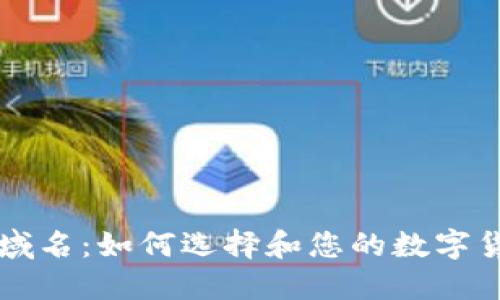 数字币钱包域名：如何选择和您的数字货币投资入口