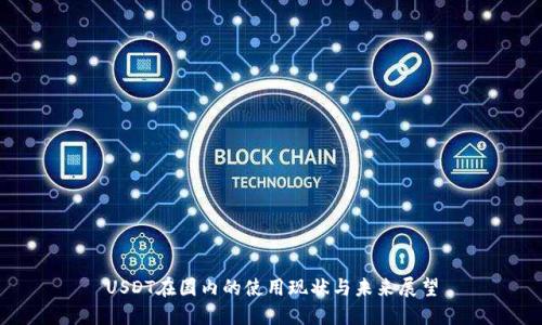USDT在国内的使用现状与未来展望
