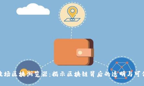 波场区块浏览器：揭示区块链背后的透明与可信