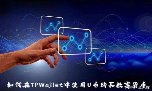  
如何在TPWallet中使用U币购买数字货币