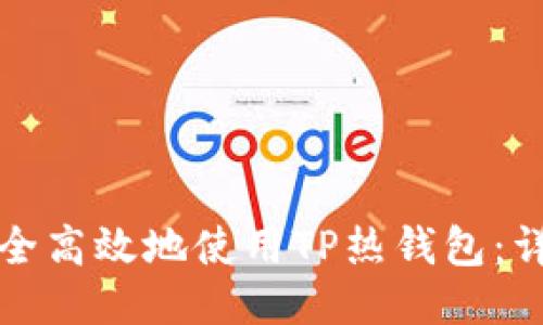 如何安全高效地使用TP热钱包：详尽指南