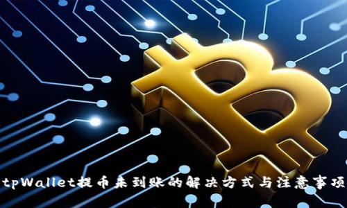 tpWallet提币未到账的解决方式与注意事项