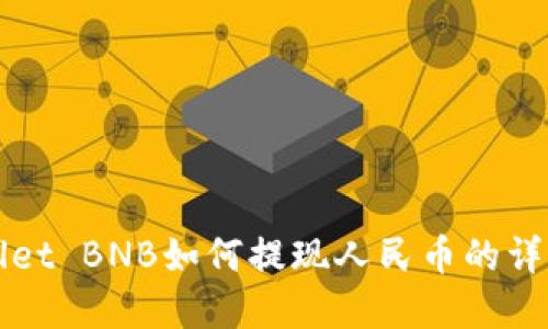 tpWallet BNB如何提现人民币的详细指南