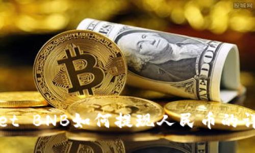 tpWallet BNB如何提现人民币的详细指南