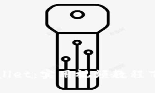 全面了解tpWallet：实用视频教程下载与使用指南