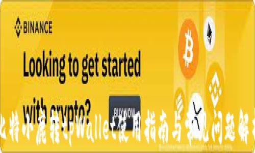 
比特小鹿转tpWallet使用指南与常见问题解析