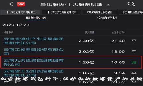 加密数字钱包种子：保护你的数字资产的关键