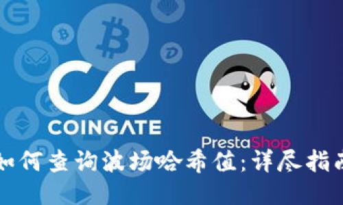 如何查询波场哈希值：详尽指南