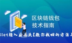 tpWallet转入后丢失？教你找