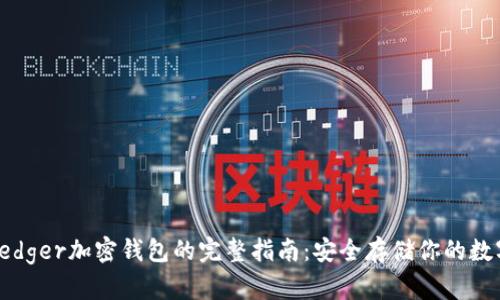 使用Ledger加密钱包的完整指南：安全存储你的数字资产