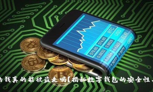 tpWallet的钱真的能被盗走吗？揭秘数字钱包的安全性与防护措施