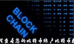 如何查看您的比特币账户