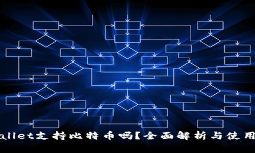 tpWallet支持比特币吗？全面解析与使用指南
