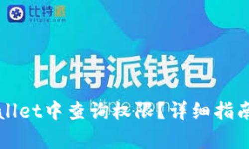 如何在tpWallet中查询权限？详细指南与操作方法