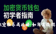 老版本tpWallet宠物养成攻略