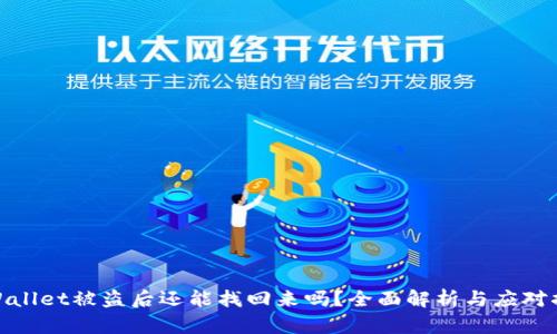 tpWallet被盗后还能找回来吗？全面解析与应对措施