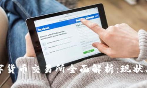 2023年国内数字货币交易所全面解析：现状、优势与监管趋势