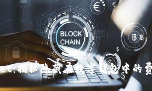 tpWallet：揭秘隐藏在数字钱包中的费用陷阱