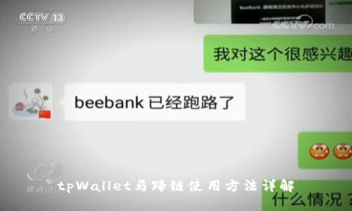 tpWallet马蹄链使用方法详解
