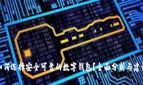 如何选择安全可靠的数字钱包？全面分析与建议