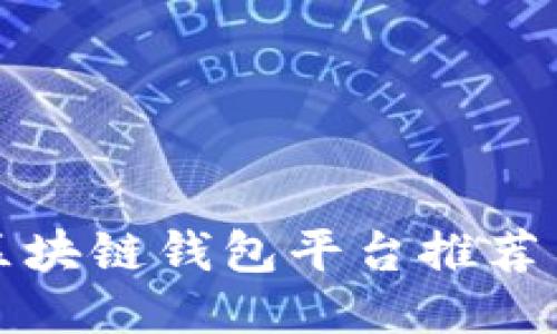 最安全的区块链钱包平台推荐与使用指南