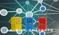 全面了解CGPay：虚拟币市场
