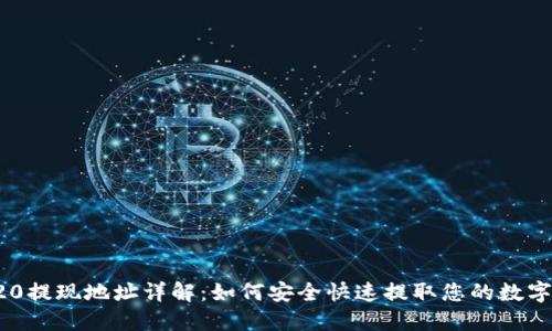TRC20提现地址详解：如何安全快速提取您的数字资产