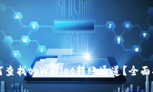 如何查找tpWallet转账通道？全面指南