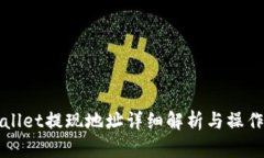tpWallet提现地址详细解析与