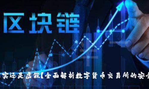 OK交易所：真实还是虚假？全面解析数字货币交易所的安全性与信任度