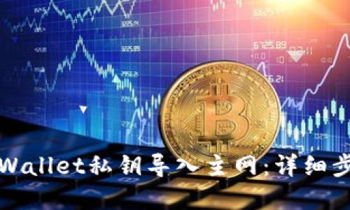 如何将tpWallet私钥导入主网：详细步骤与技巧
