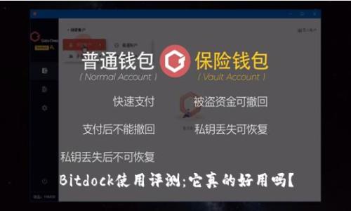 Bitdock使用评测：它真的好用吗？