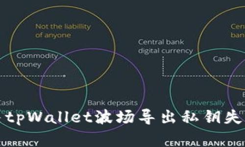 如何解决tpWallet波场导出私钥失败的问题