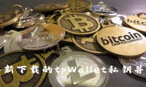 大如何导入新下载的tpWallet私钥并确保安全性