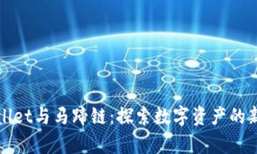 tpWallet与马蹄链：探索数字资产的新前沿