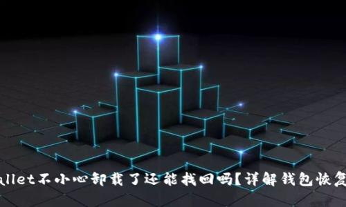tpWallet不小心卸载了还能找回吗？详解钱包恢复方法