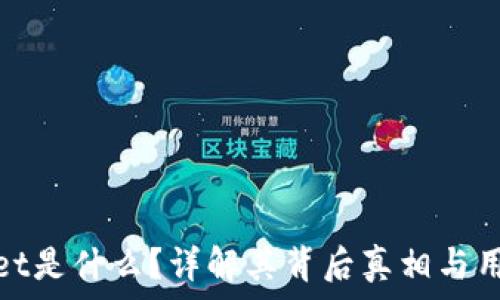   
tpWallet是什么？详解其背后真相与用户体验