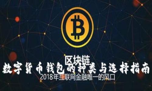 数字货币钱包的种类与选择指南