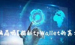 tpWallet是骗局吗？揭秘tpWallet的真相与风险分析