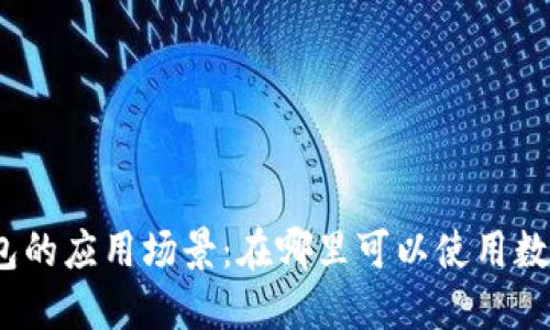 数字钱包的应用场景：在哪里可以使用数字钱包？