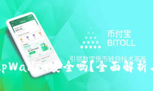 百度下载tpWallet安全吗？全面解析与风险评估