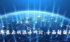 2023年最大的混币网站：全